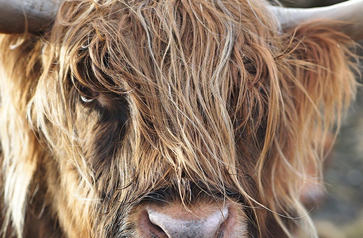 Website that you should check out