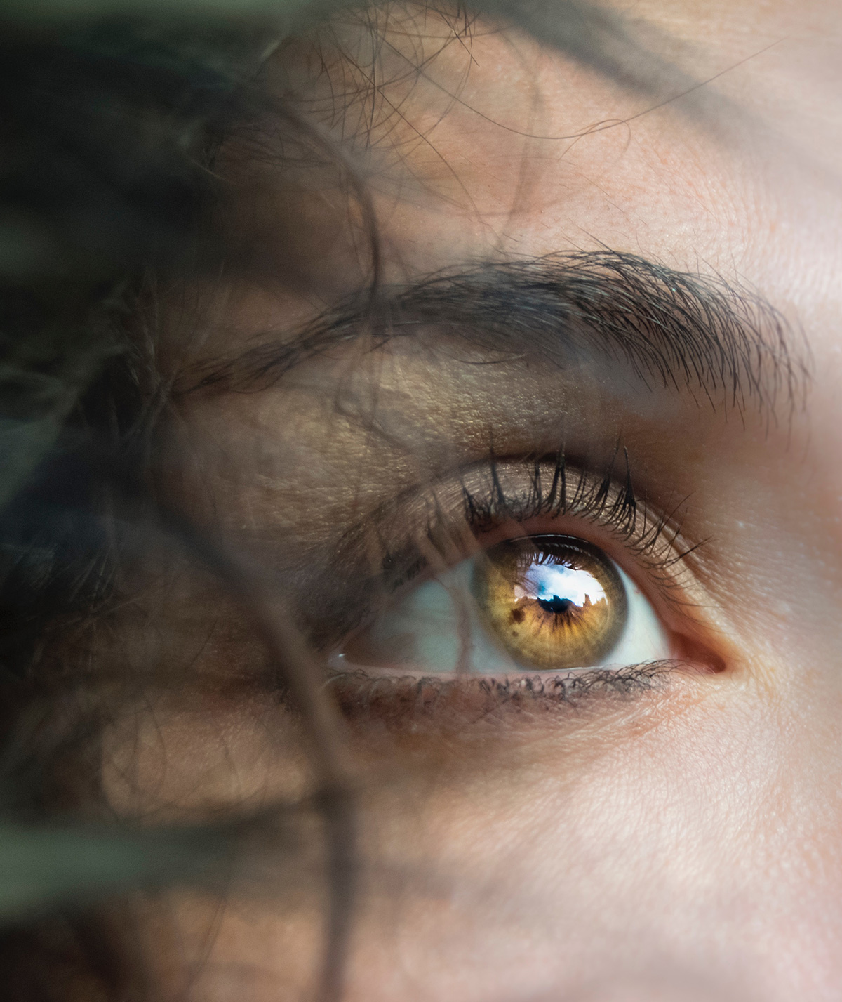 Quote of the day #31